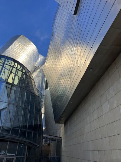 Looking up at the titanium curves of the Guggenheim Bilbao against a winter sky